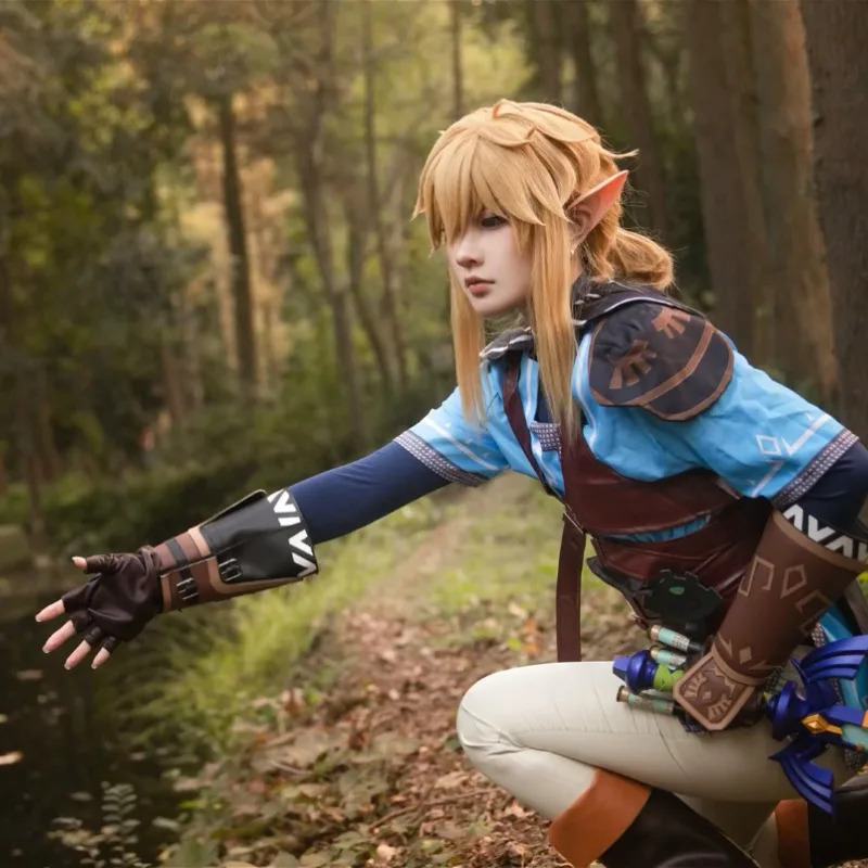 Game Zelda Breath of The Wild  - Zelda Party Games recensie en prijs